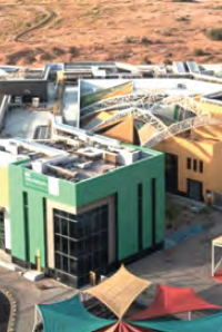 Growth & Recognition